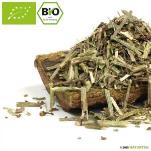 BIO Eisenkraut Geschnitten